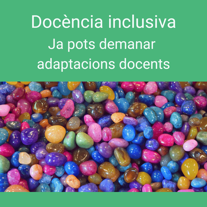 Adaptacions docents