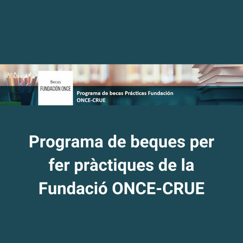 Programa de beques per fer pràctiques de la Fundació ONCE-CRUE