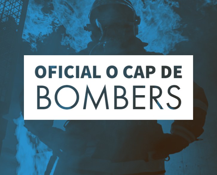 SP-CAT-Bomber.jpg