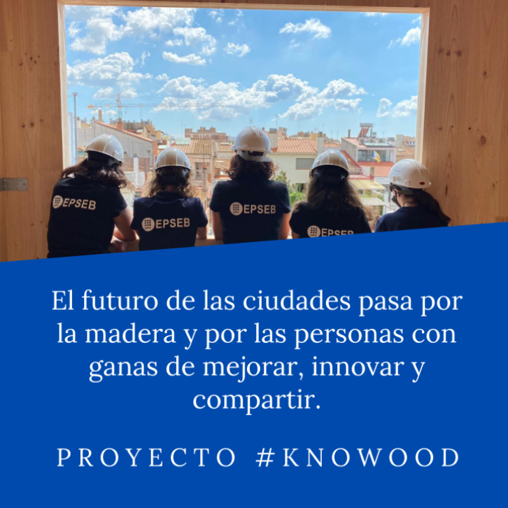 2020-Profesoras proj Knowood.png