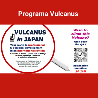 Programa Vulcanus - una ocasión para realizar prácticas en Japón