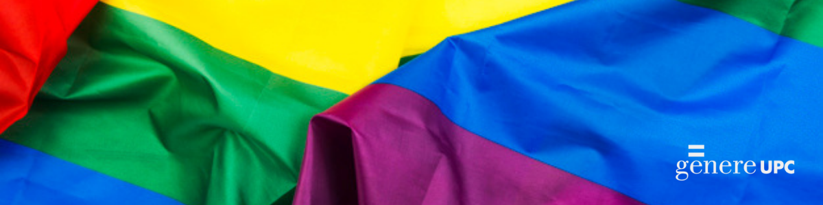 Dia Internacional contra la LGTBIfòbia.png